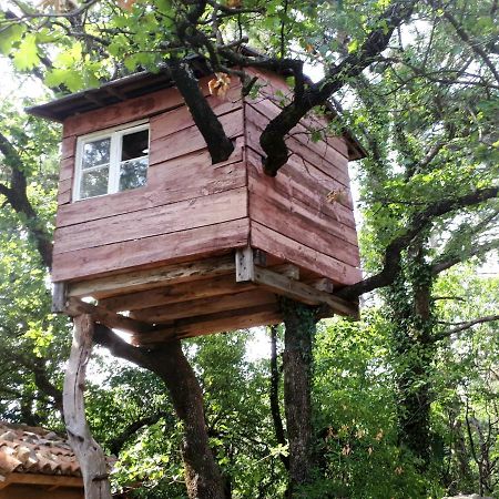 Villa Katarina Branik Εξωτερικό φωτογραφία