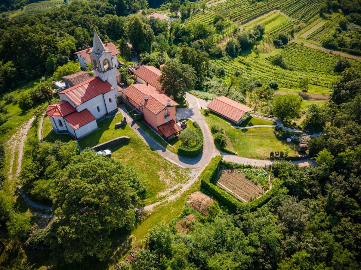 Villa Katarina Branik Εξωτερικό φωτογραφία